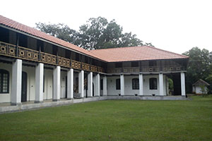 Visit the Archaeological Museum in Anuradhapura